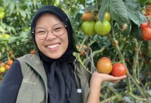 Cindy Anak Muda Indonesia Berprestasi Magang di New York Belajar Pertanian Modern 4 Magang di Bidang Pertanian